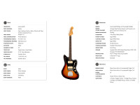 Fender Player II Jazzmaster RW 3TS