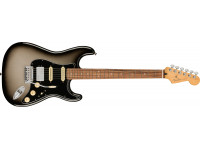 fender-player-plus-silver-burst_6140d101d72ef.jpg