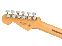fender-player-plus-silver-burst_6140d10616533.jpg