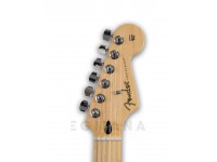 fender-player-series-strat-hss-mn-bcr_5fb6b9d28f539.jpg