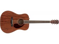 fender-pm-1-std-dreadnought-mah_5feb4e1436f07.jpg