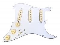 fender-pre-wired-st-pg-hot-n-wh_5e6f558b868cb.jpg