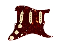 fender-pre-wired-st-pg-vintn-sss-tt_5e6b9f129f378.jpg