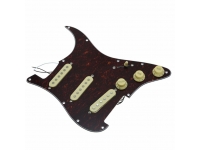 fender-pre-wired-st-pickguard-50_5e6bc63ecef81.jpg