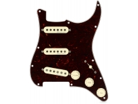 fender-pre-wired-st-pickguard-hot-n_5e68b1ca46fdd.jpg