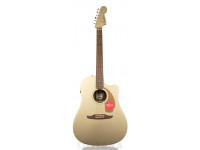 fender-redondo-player-bronze-satin_603d3242506f6.jpg
