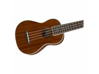 fender-seaside-soprano-ukulele_5a1c2fd9596da.jpg