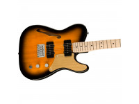 fender-squier-paranormal-cabronita-thinline-2-tone-sunburst_6143795eaae00.jpg