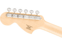 fender-squier-paranormal-trouble-telecaster-blk_6a5f387d15646.jpg