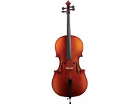 gewa-allegro-vl1-violin-4-4-fc-lh_5ed139c53a301.jpg