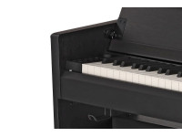 Gewa CP 510 Black