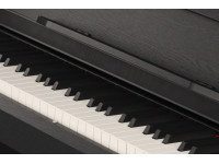 Gewa CP 510 Black
