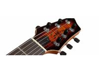 godin-lgx-sa-cognac-burst-flame-aa_5a9d75d438033.jpg