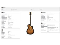 gretsch-limited-edition-electromatic-black-limba-jet-eb-sunburst_6aa15eaa5e536.jpg