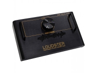 hotone-loudster-portable-power-amp_5c6a895e5bcf6.jpg