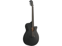 Ibanez AEG621BOT Black Out