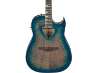 ibanez-alt50fa-bdb_6981c64438889.jpg