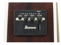 ibanez-alt50fa-bdb_6981c6532b1ea.jpg