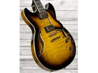 ibanez-as153-ays_5ff5d8a4d5d81.jpg