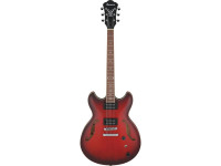 ibanez-as53-srf_621f9810e8e12.jpg