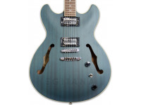 ibanez-as53-tbf_5ffc72ffe7b89.jpg