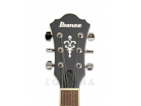 ibanez-as53-tbf_5ffc73019cbf6.jpg