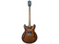 ibanez-as53-tf_620aa300b013f.jpg