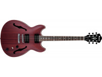 ibanez-as53-trf_604a06f48af2b.jpg