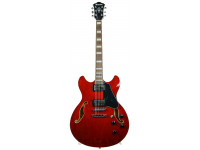 ibanez-as73-tcd_6139d8fe260ae.jpg