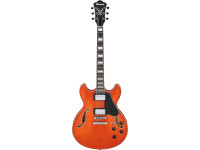 Ibanez AS73-TTF Ibanez AS73-TTF