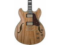 ibanez-as93zw-nt_5c94fb2b819f7.jpg