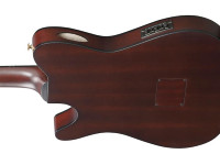 Ibanez FRH20QMN-WRL