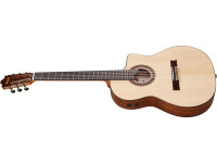 ibanez-ga360tce-nt_69f200d1b1508.jpg