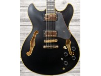 Ibanez JSM-20 Black Low Gloss  - Guitarra assinatura de John Scofield, Corpo: Flamed Maple, Topo: Flamed Maple, Braço: 3 peças de Nyatoh/Maple, Perfil do braço: JSM, Raio do braço: 305mm, 