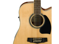 ibanez-pf1512ece-nt_634d8a1b39585.jpg