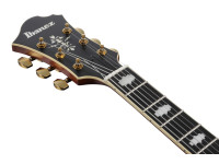 Ibanez  PM3C-NAL Pat Metheny