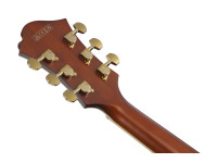 Ibanez  PM3C-NAL Pat Metheny