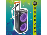  IBIZA Coluna Amplificada 2x10