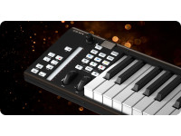 iCON Pro Audio Artist 25x