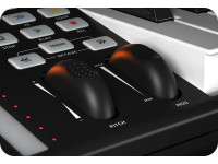 iCON Pro Audio Artist 61x