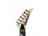 jackson-pro-series-rhoads-rr3-ebony-fingerboard-ivory-black-pinstripes_602a45ec63f44.jpg