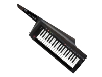 korg-rk100s2-keytar-black_5e2582345c787.jpg