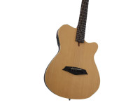 Larry Carlton G5A Natural