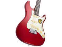 Larry Carlton S3 CAR New Gen