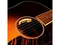 L.R.Baggs Anthem L.R.Baggs Anthem