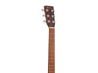 martin-gpc-x2e-cocobolo_6ab6456bad130.jpg