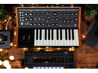 Moog Subsequent 25 Analog Synthesizer Moog Subsequent 25 Analog Synthesizer