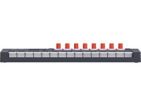 novation-flkey-2-mini-25_6a8d57964ac7b.jpg