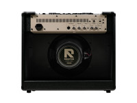 Positive Grid Reactor 100