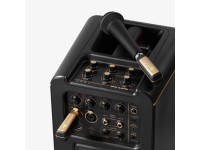 Positive Grid Spark Link XLR